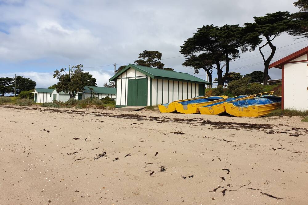 Photo of Others in Indented Head