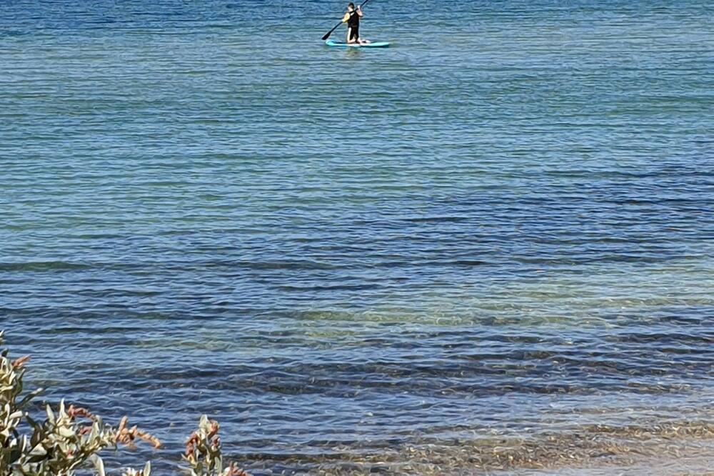 Photo of Others in Indented Head