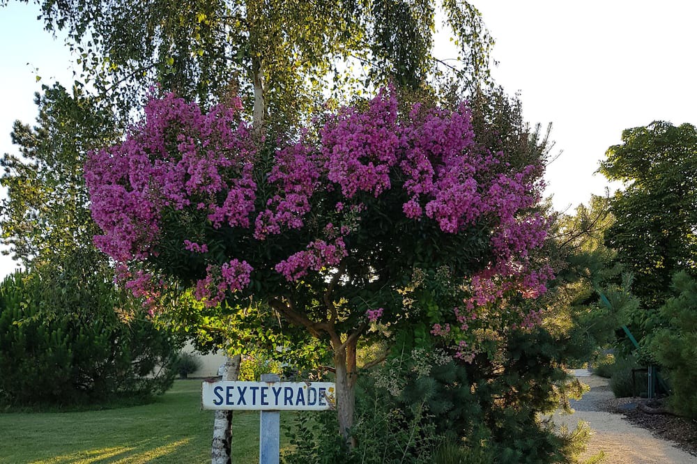 Photo of Outdoor in Cancon