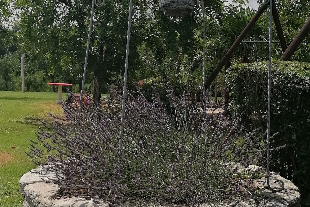 Photo of Outdoor in Cancon