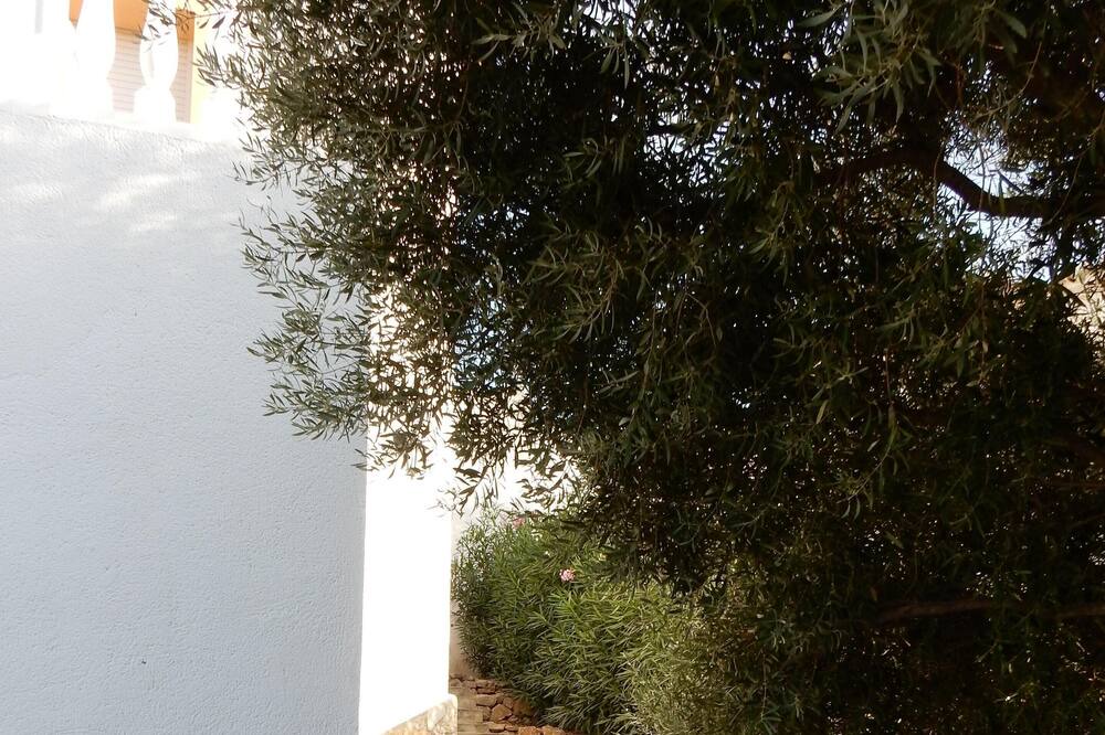 Photo of Outdoor in Orba