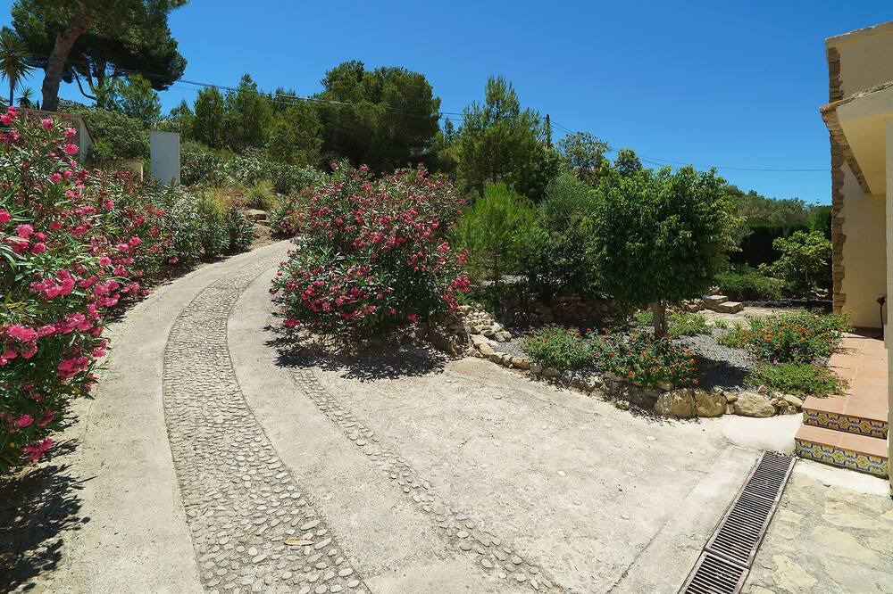 Photo of Outdoor in San Jaime