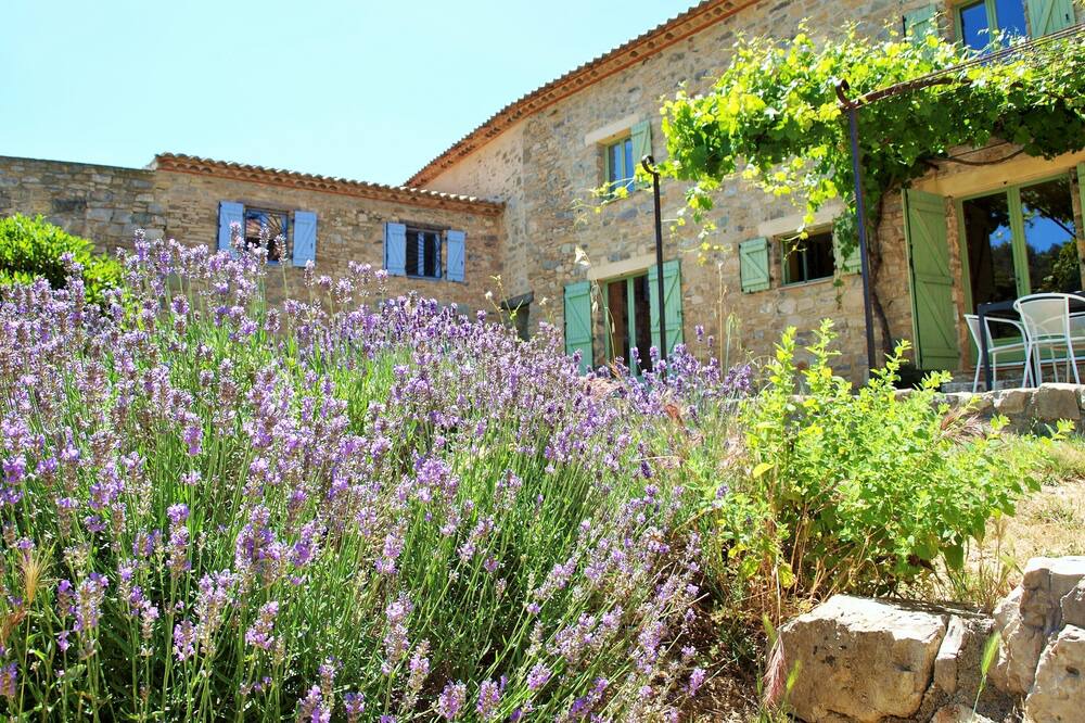 Photo of Others in Paraza