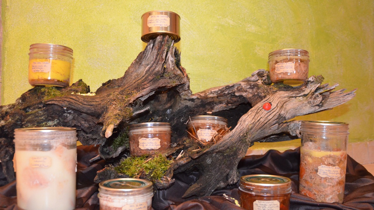 Photo of Others in Manciet