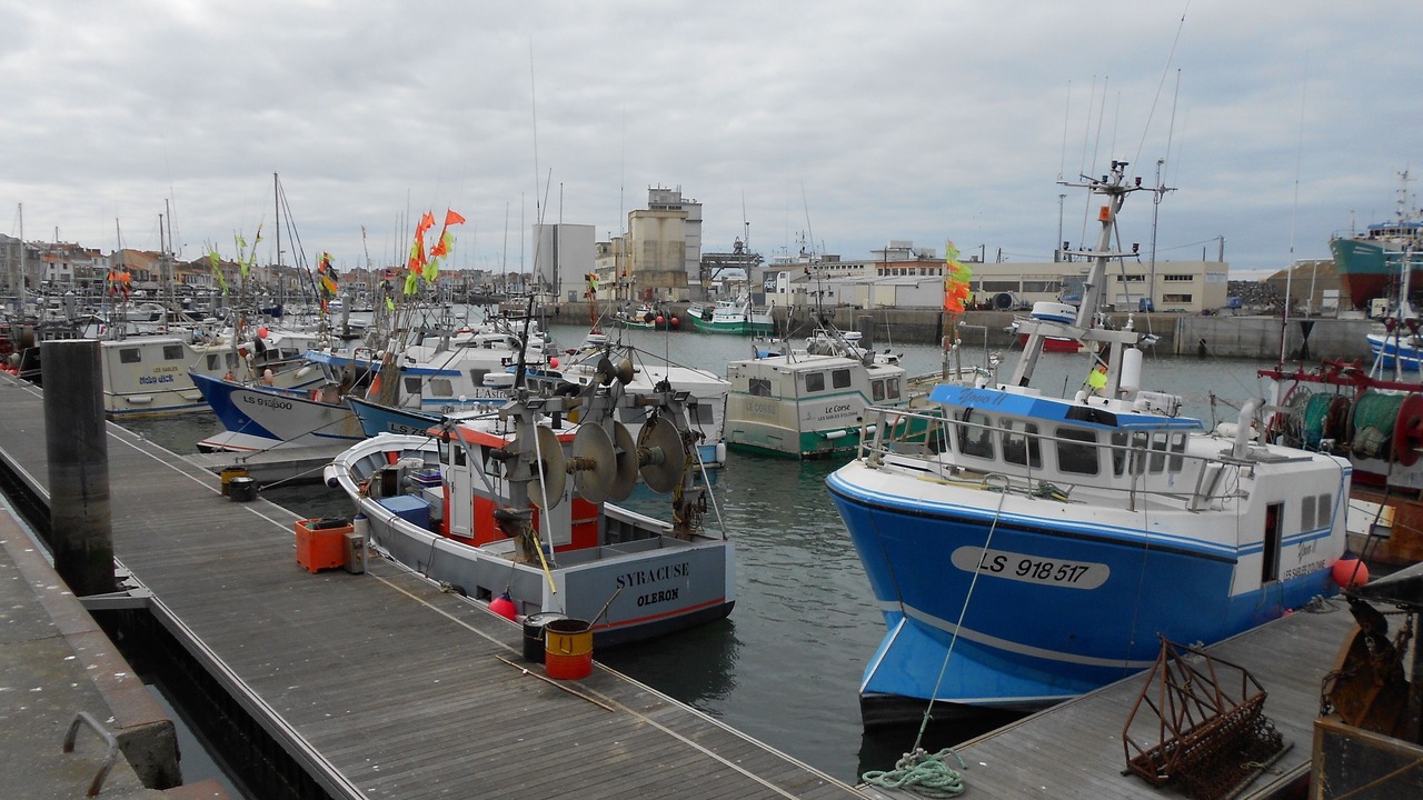 Photo of Others in Les Sables d'Olonne