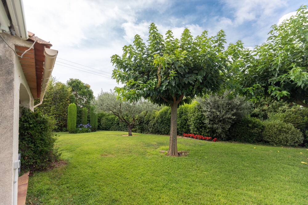 Photo of Outdoor in Le Rouret