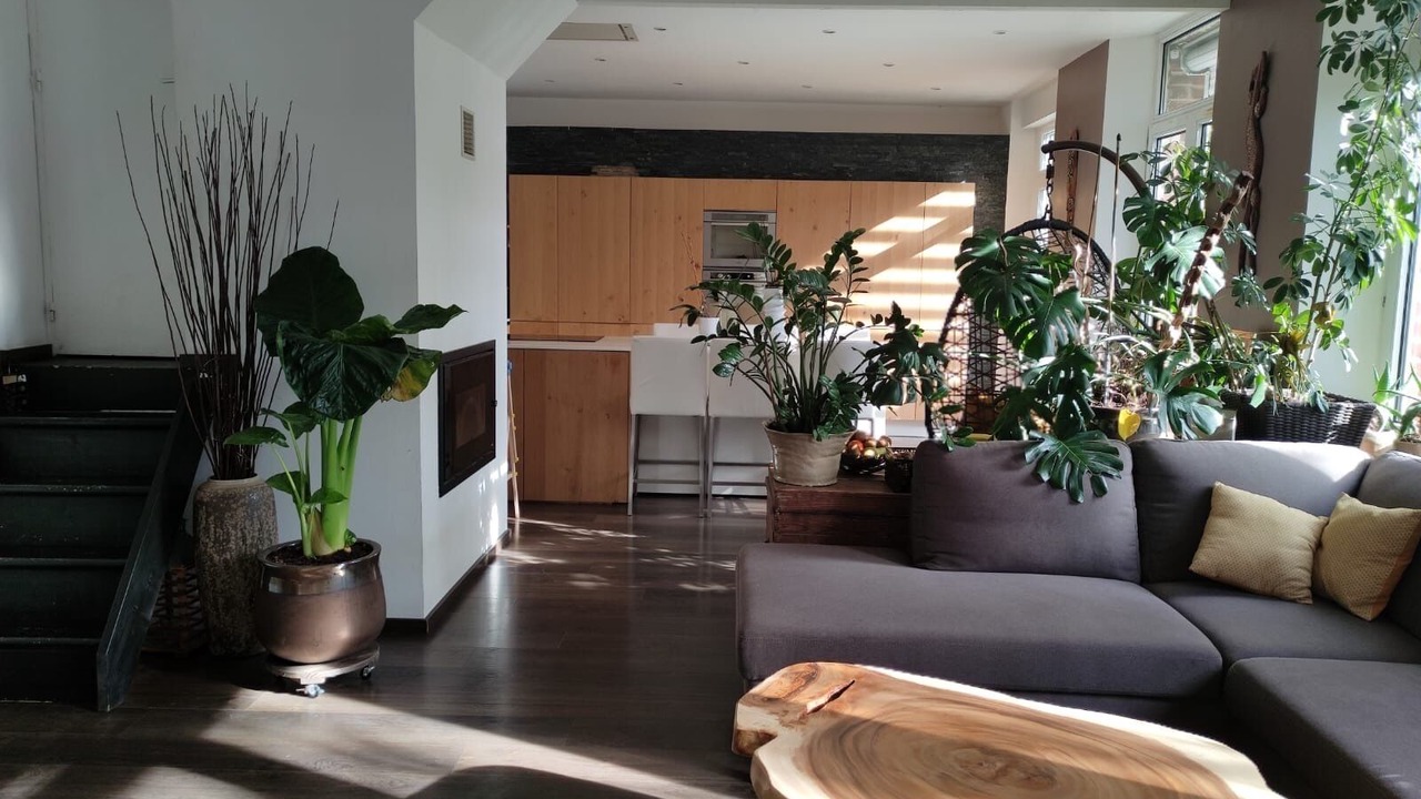 Photo of Others in Amneville