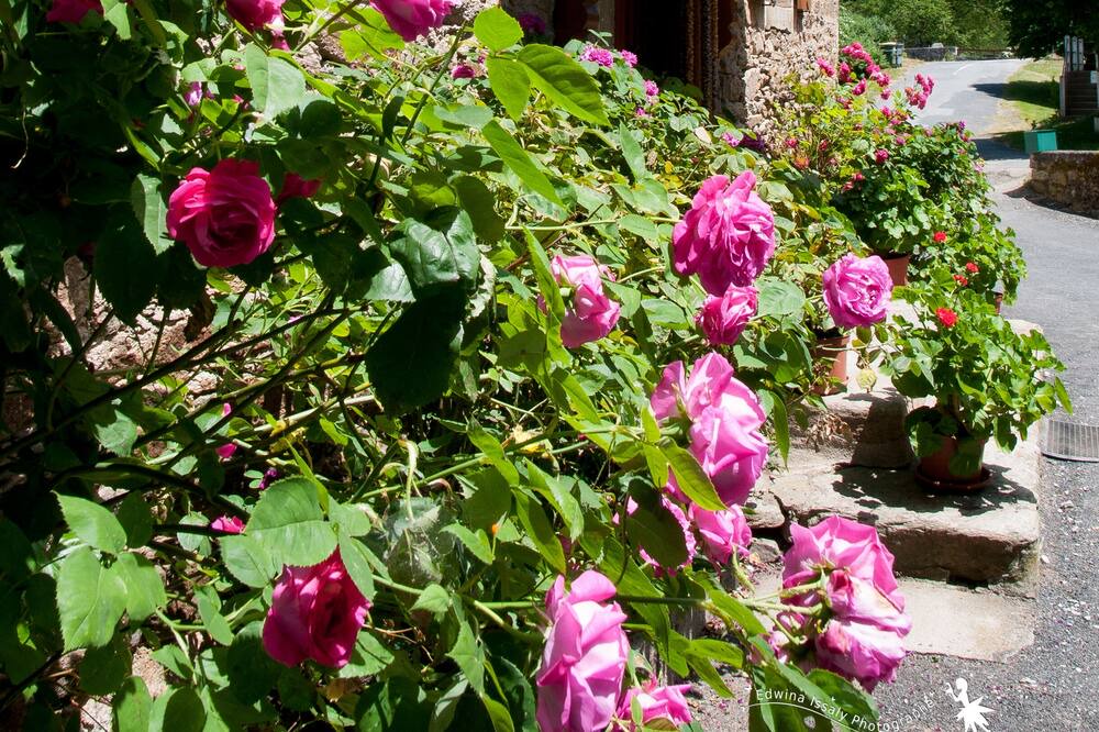 Photo of Outdoor in Flavin