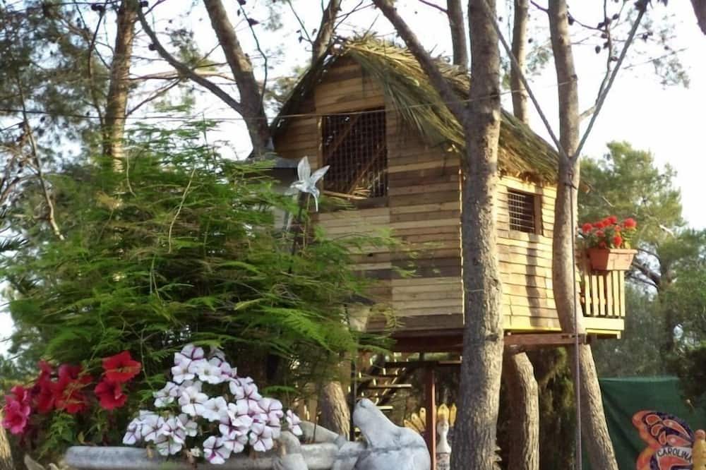 Photo of Outdoor in Godella