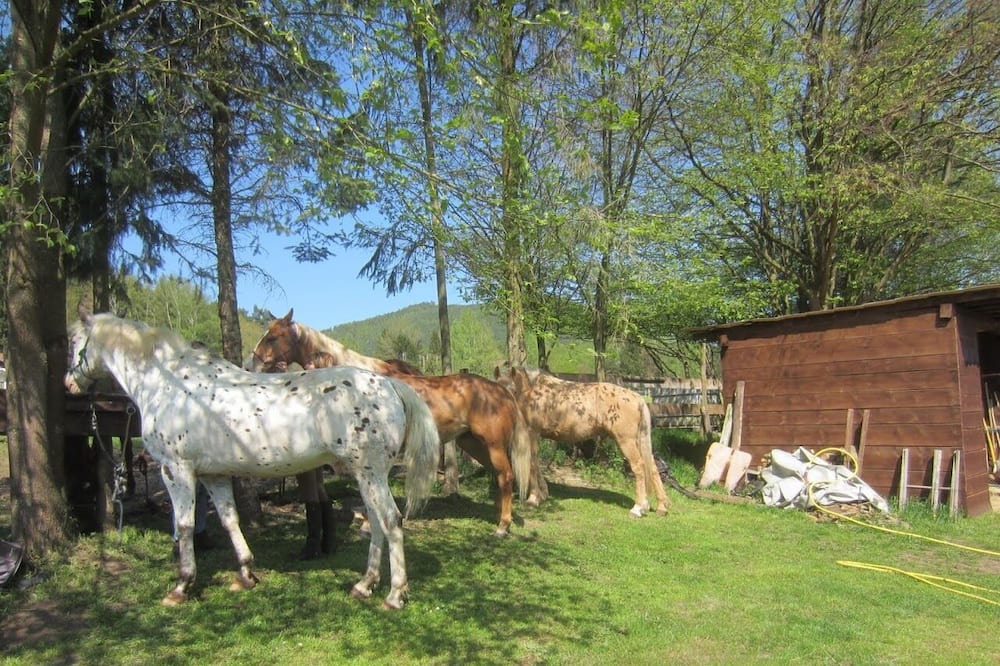 Photo of Outdoor in Obersteinbach