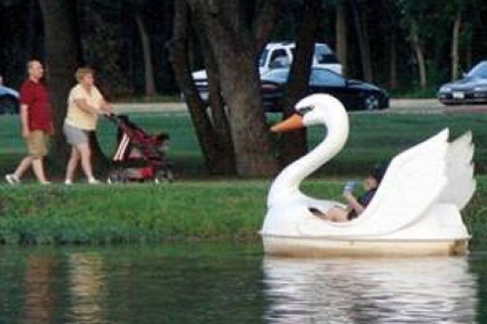 Photo of Others in McKinney