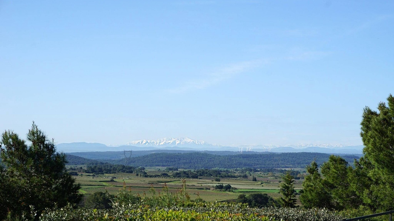 Photo of Others in Beaufort