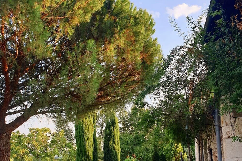 Photo of Outdoor in Cauzac