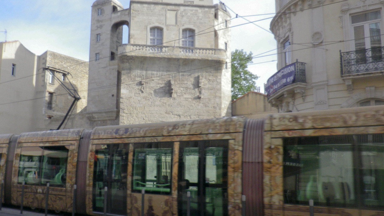 Photo of Outdoor in Gambetta