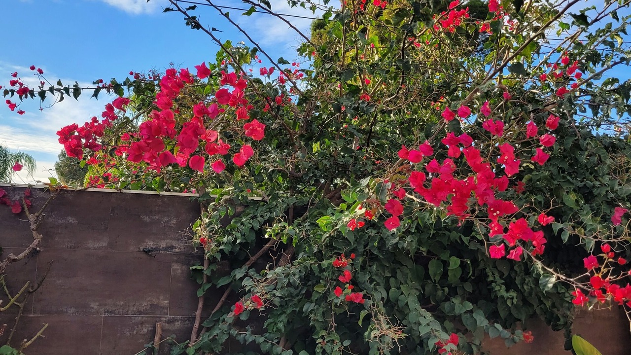 Photo of Outdoor in Serra
