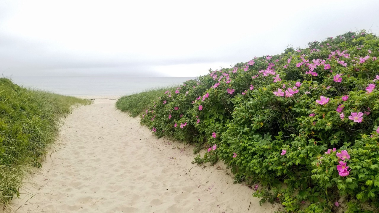 Photo of Others in New Shoreham