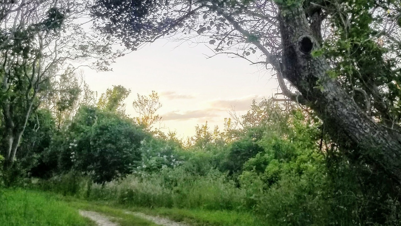 Photo of Outdoor in New Shoreham