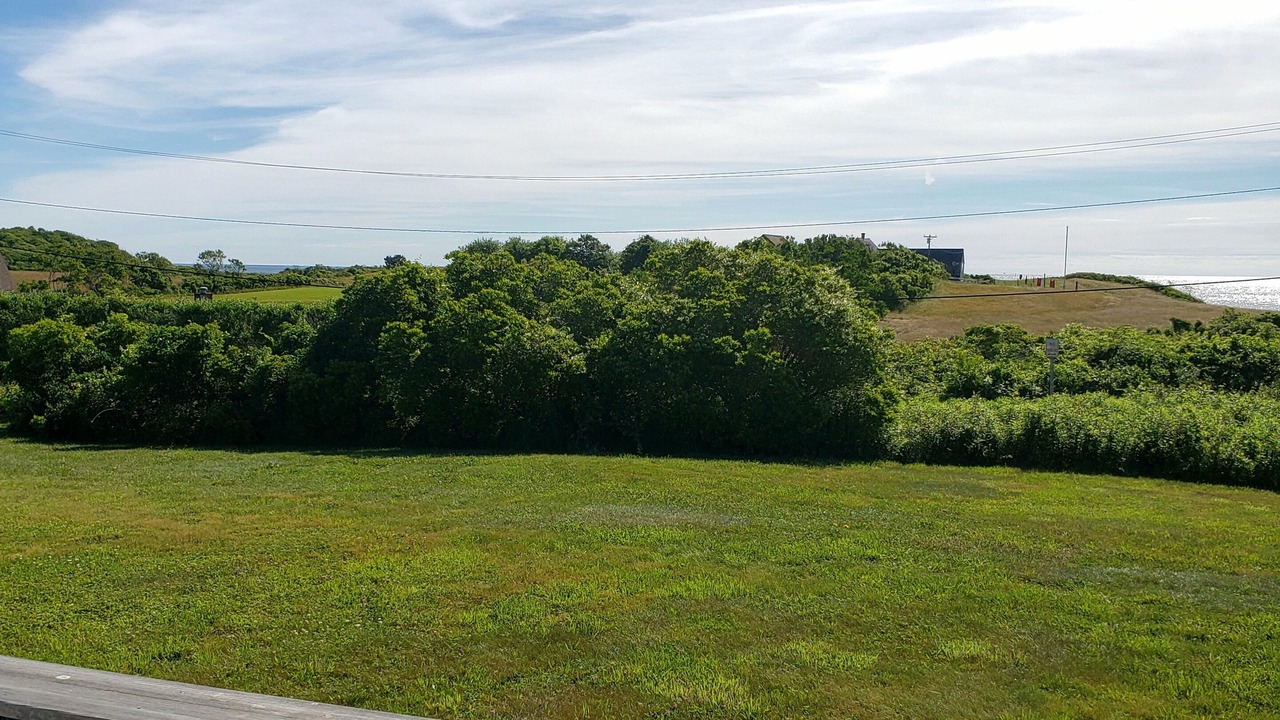 Photo of Others in New Shoreham