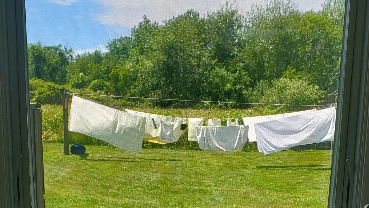 Photo of Others in New Shoreham