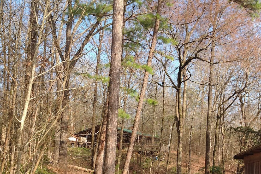 Photo of Outdoor in Kirby