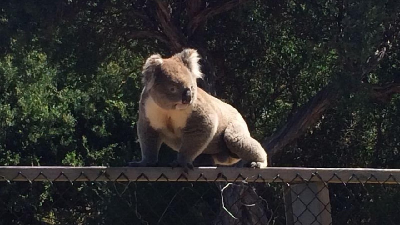 Photo of Others in Sandy Point