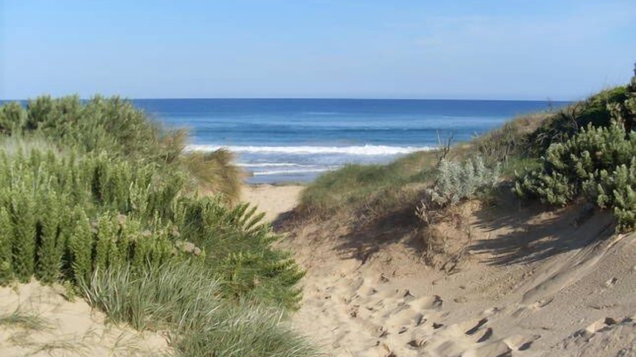 Photo of Others in St. Andrews Beach