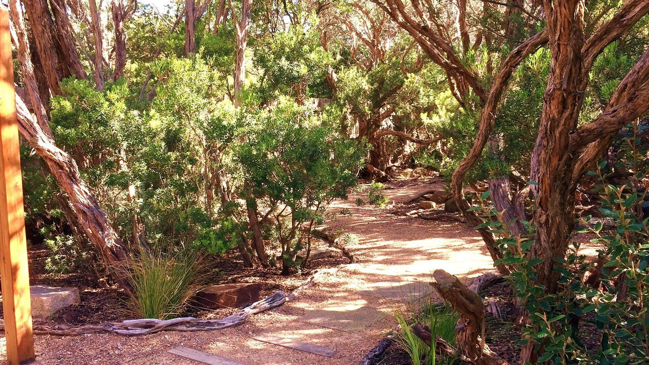 Photo of Outdoor in St. Andrews Beach