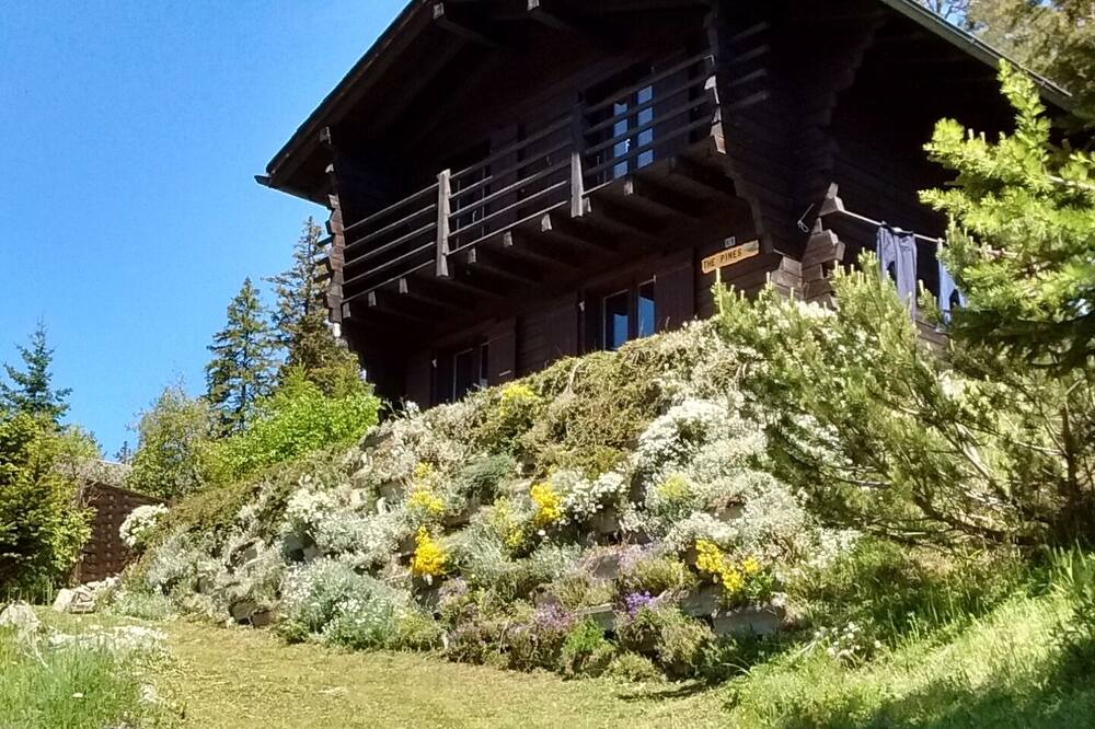 Photo of Outdoor in Champex-Lac