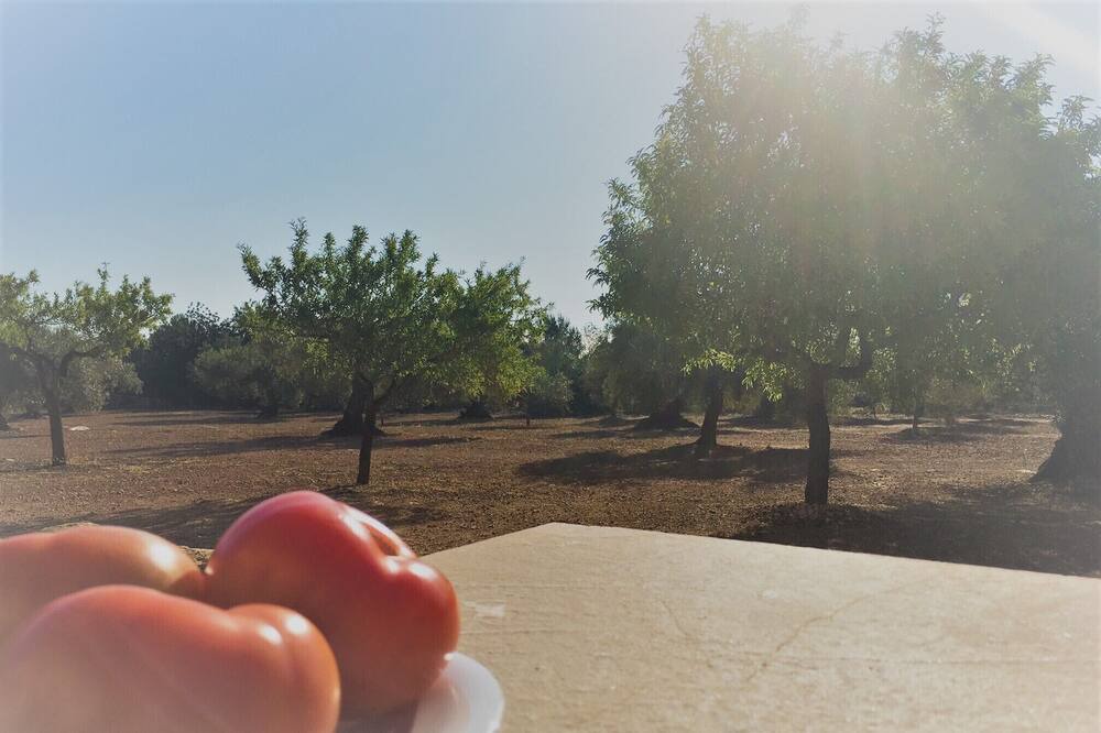 Photo of Others in Costa Dorada