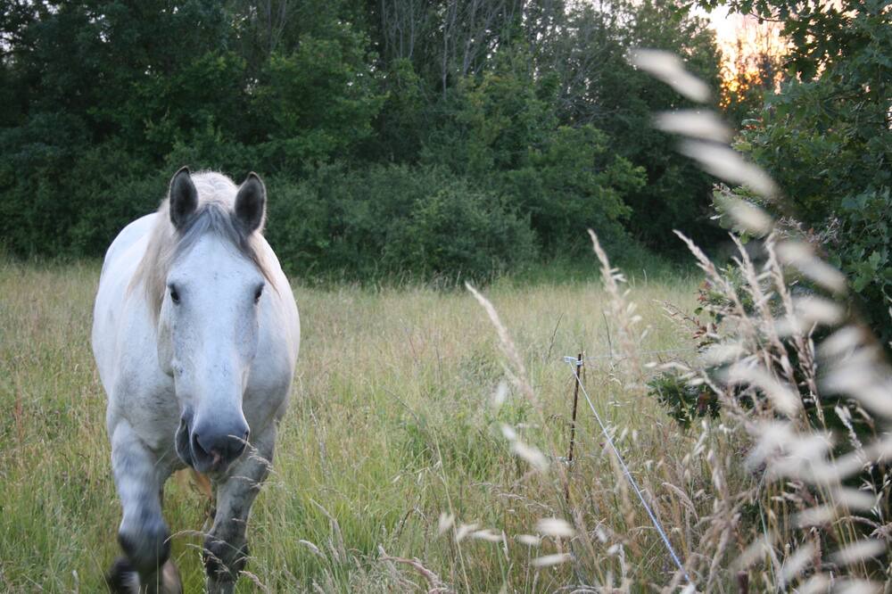 Photo of Outdoor in Saint-Denis-du-Payre