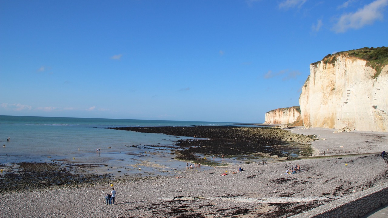 Photo of Others in Saint-Martin-aux-Buneaux