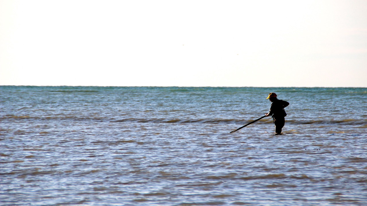Photo of Others in Saint-Martin-aux-Buneaux