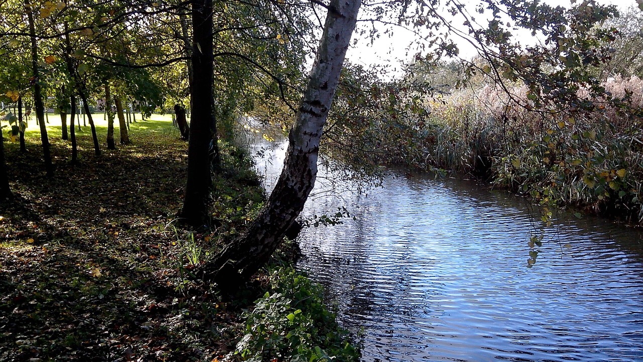 Photo of Outdoor in Clairmarais