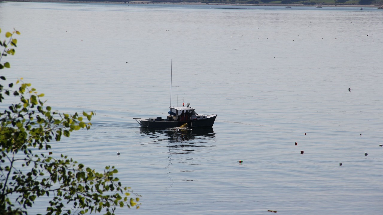 Photo of Outdoor in Hulls Cove