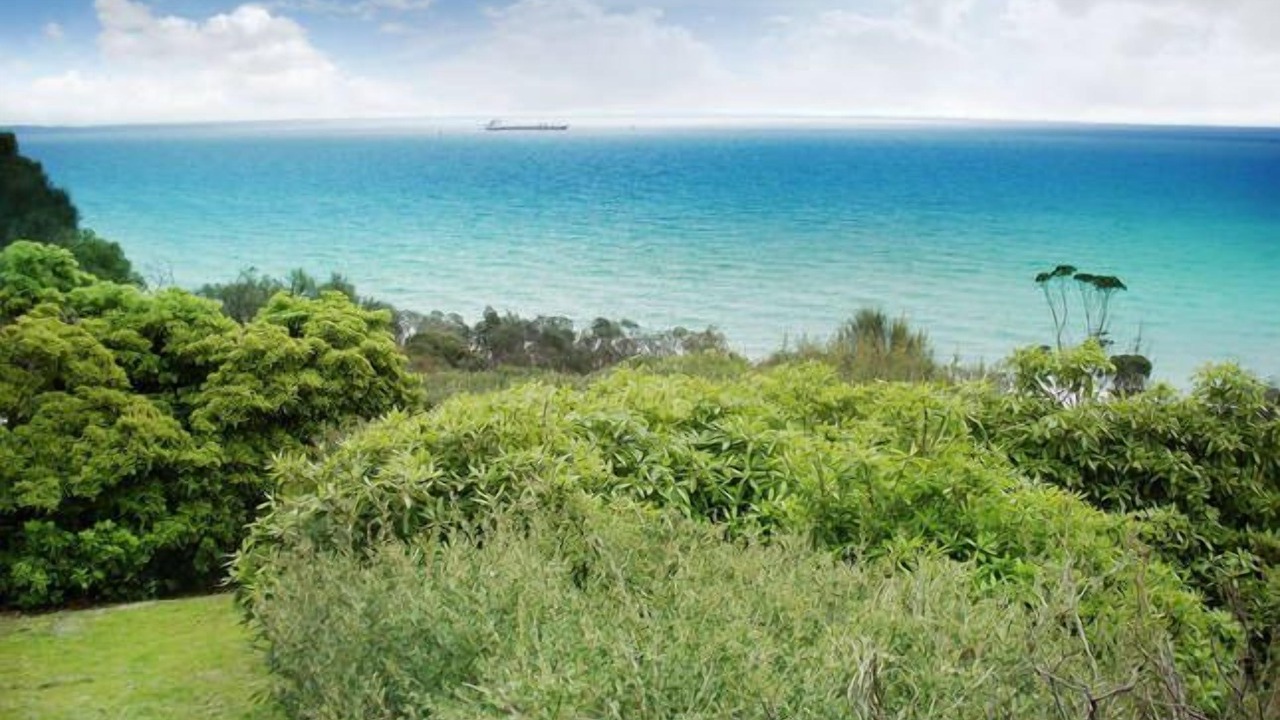 Photo of Others in McCrae