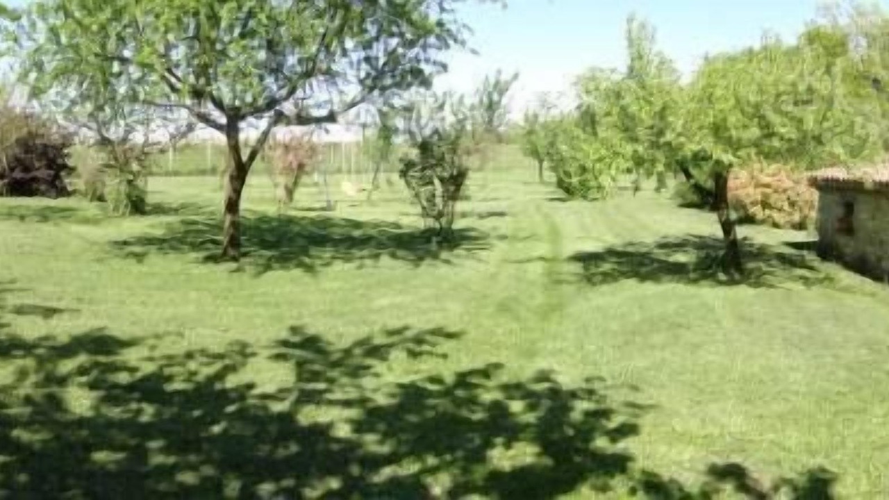 Photo of Outdoor in Miramont-de-Quercy
