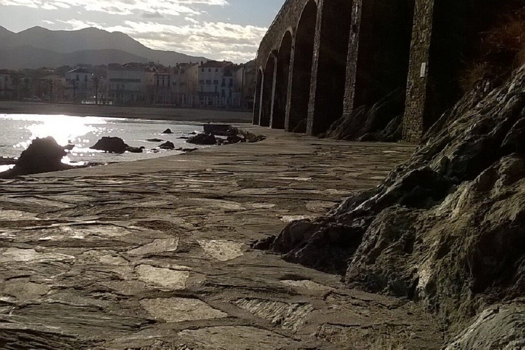 Photo of Others in Banyuls-sur-Mer