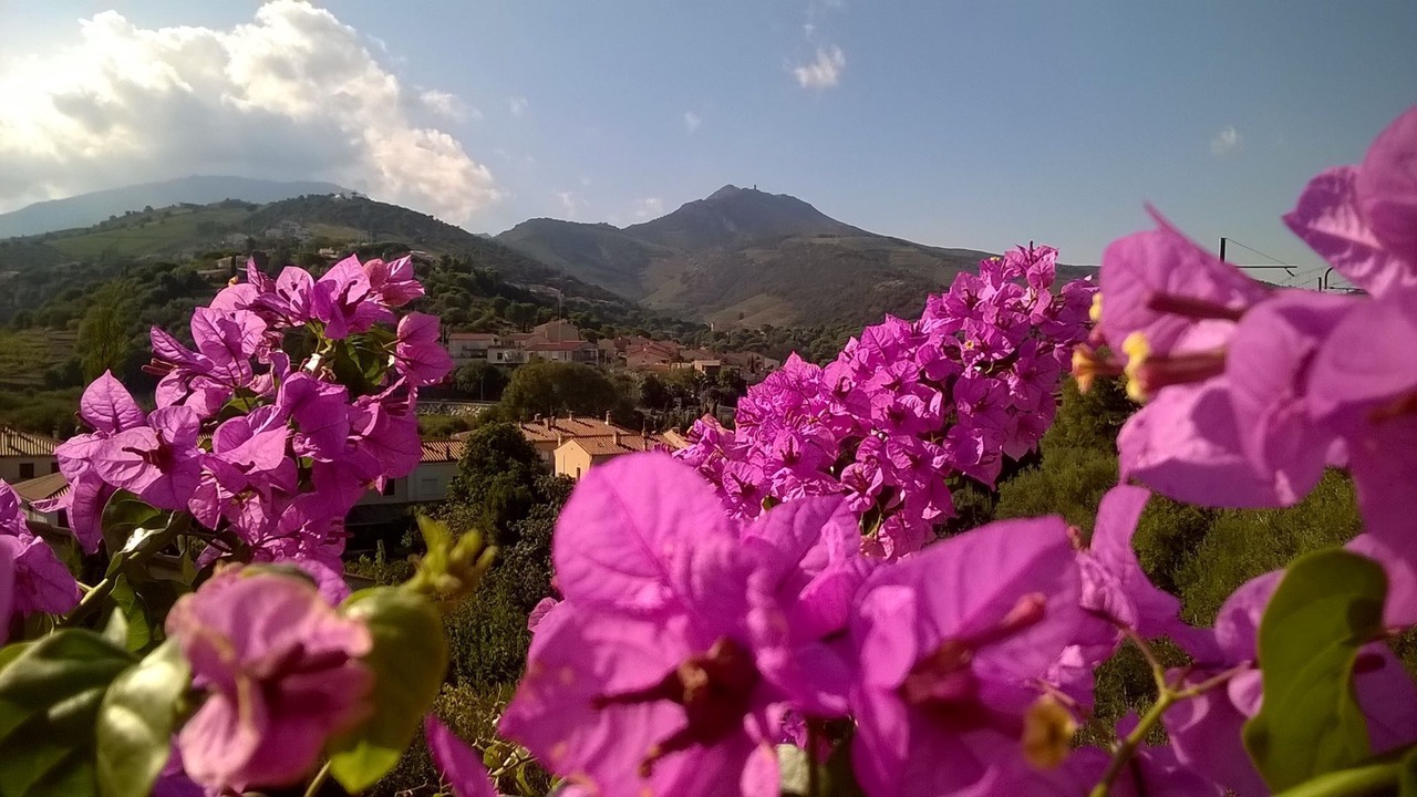 Photo of Outdoor in Banyuls-sur-Mer