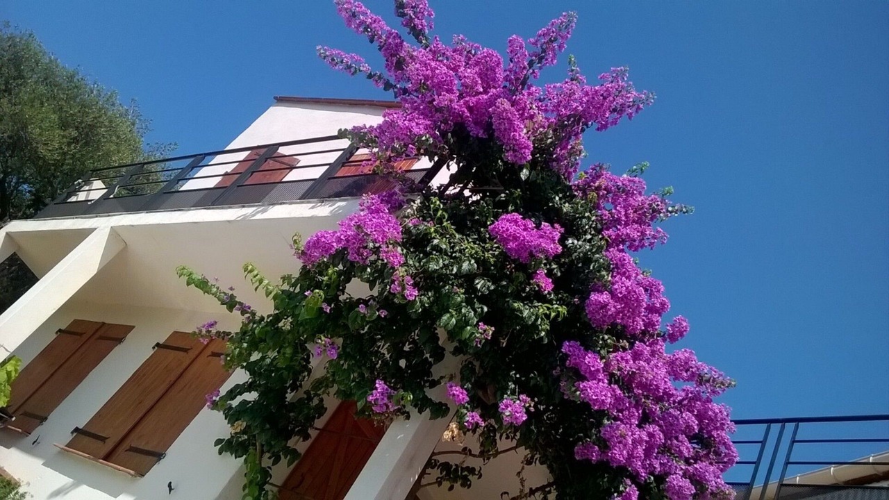 Photo of Outdoor in Banyuls-sur-Mer