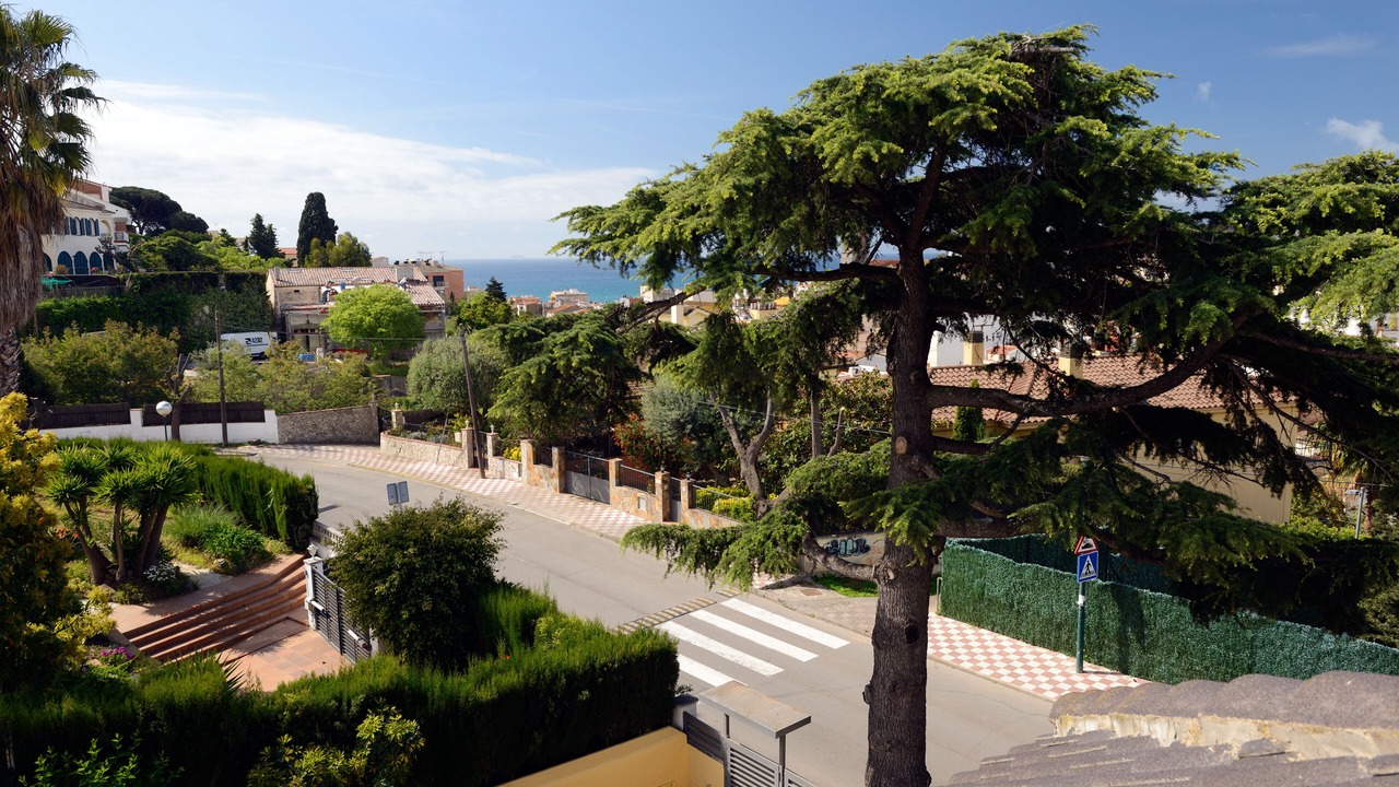 Photo of Outdoor in Canet de Mar