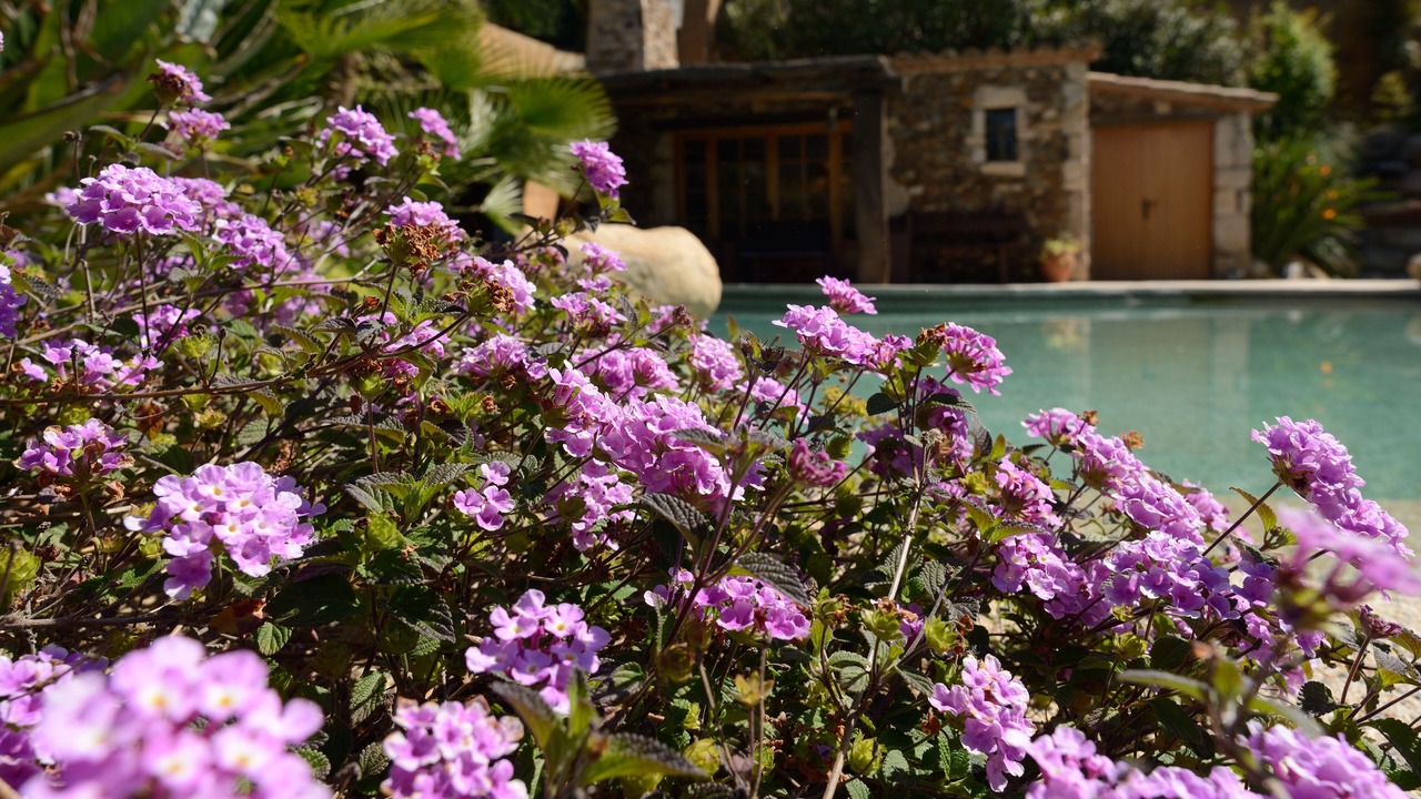 Photo of Outdoor in Canet de Mar