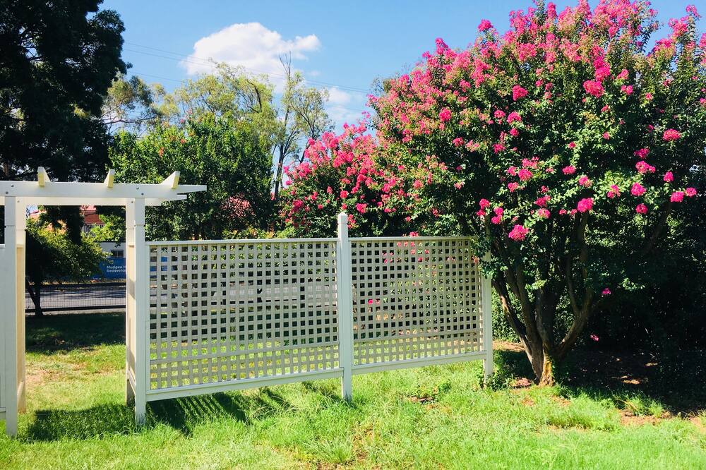 Photo of Others in Central Mudgee