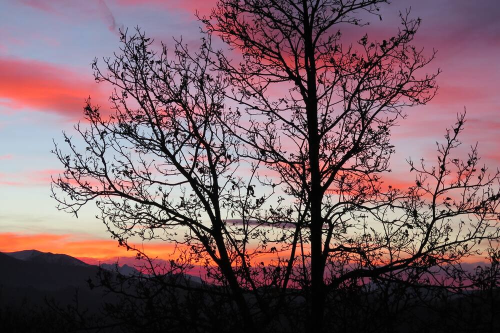 Photo of Others in Bagneres-de-Bigorre
