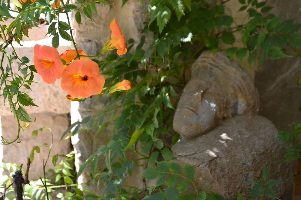Photo of Others in Lagrasse