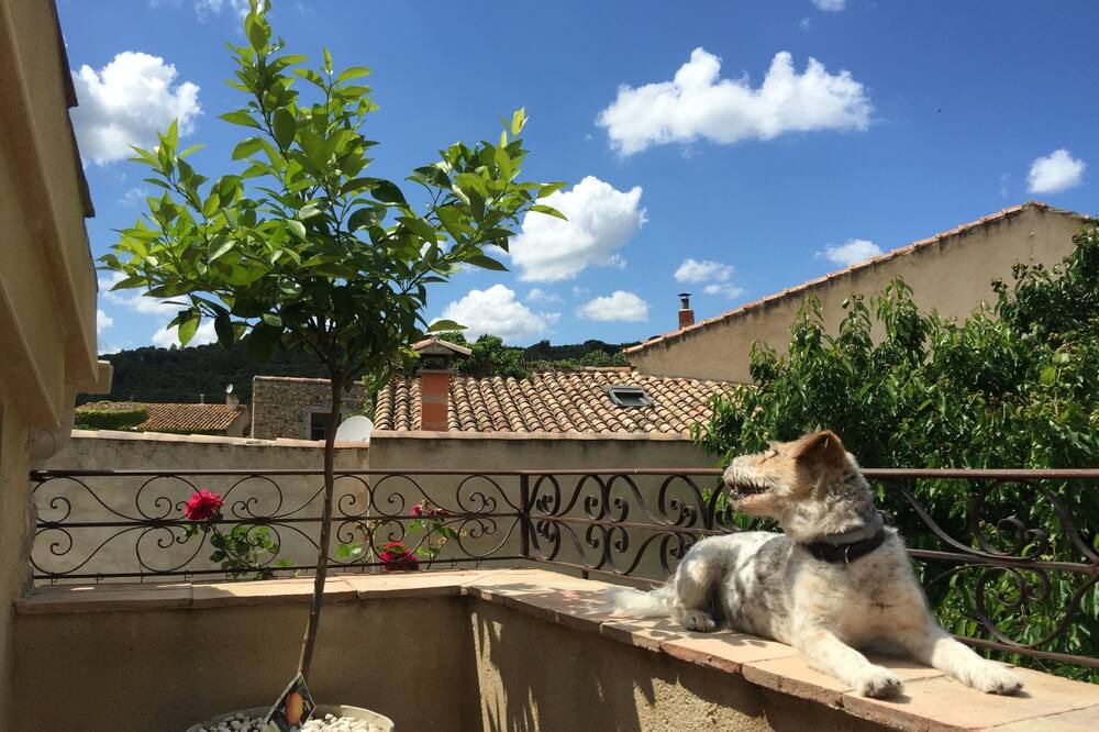 Photo of Outdoor in Lagrasse