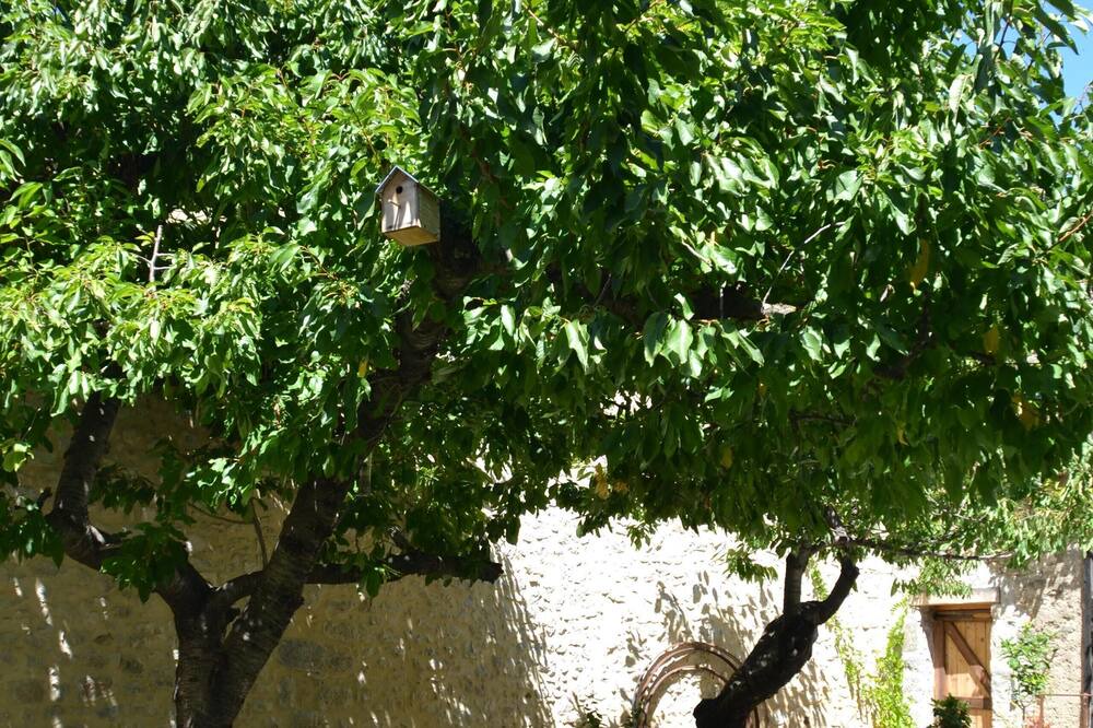 Photo of Others in Lagrasse