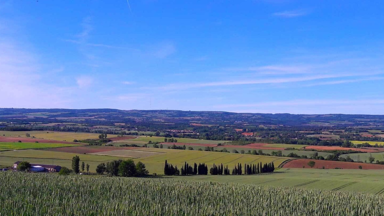 Photo of Others in Villepinte