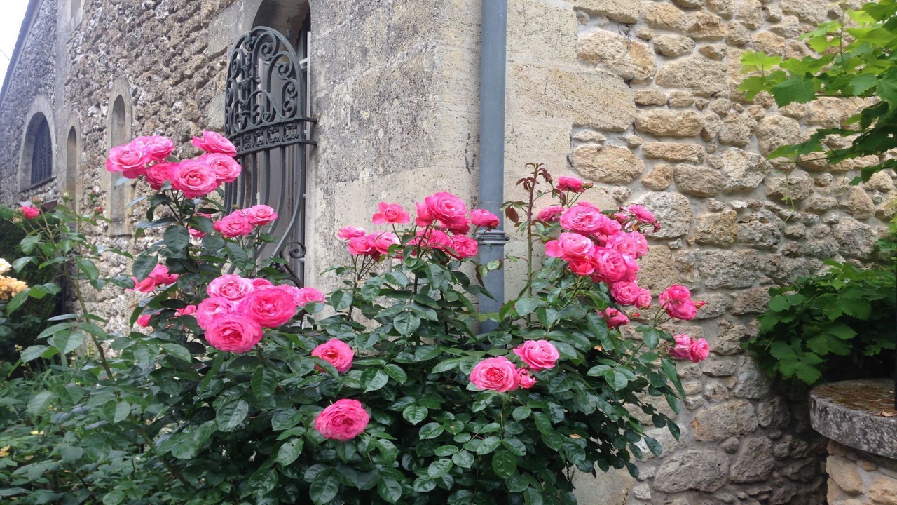 Photo of Outdoor in Flaujagues