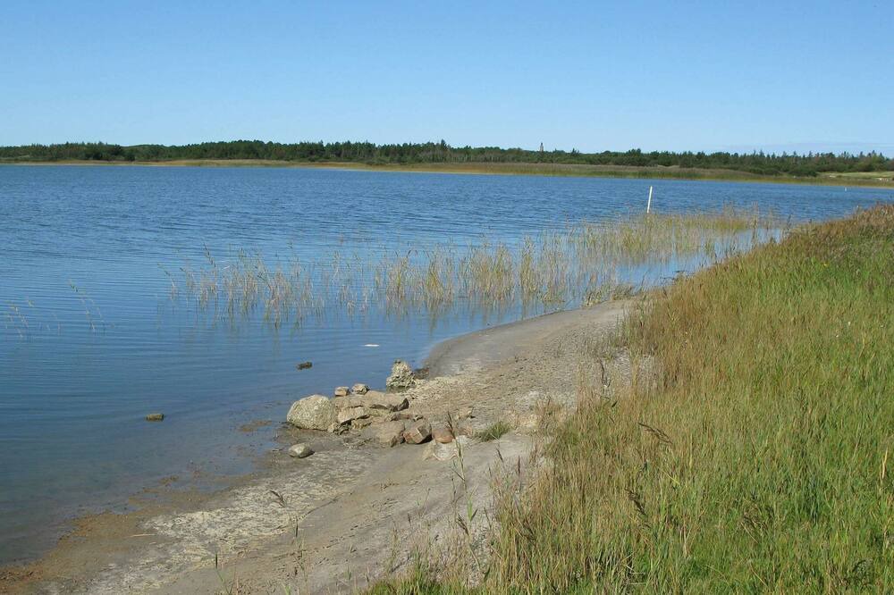 Photo of Others in Vestervig