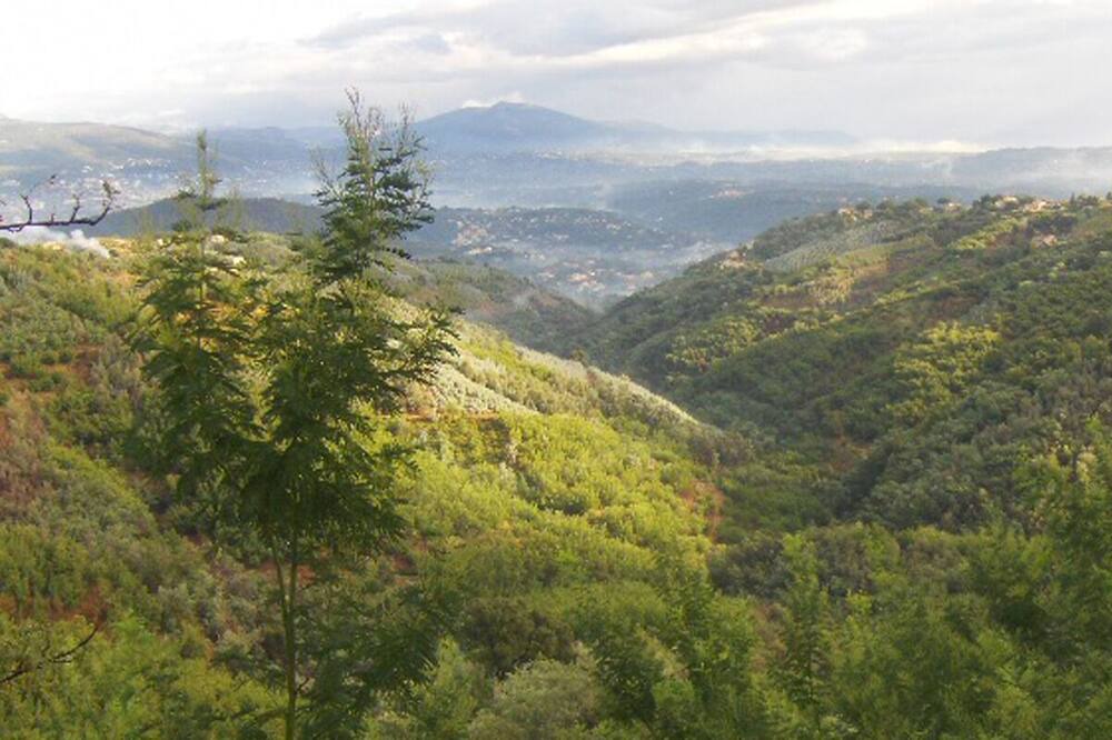 Photo of Outdoor in Tanneron